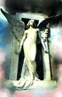 Est&aacute;tua