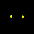 Olhos no escuro